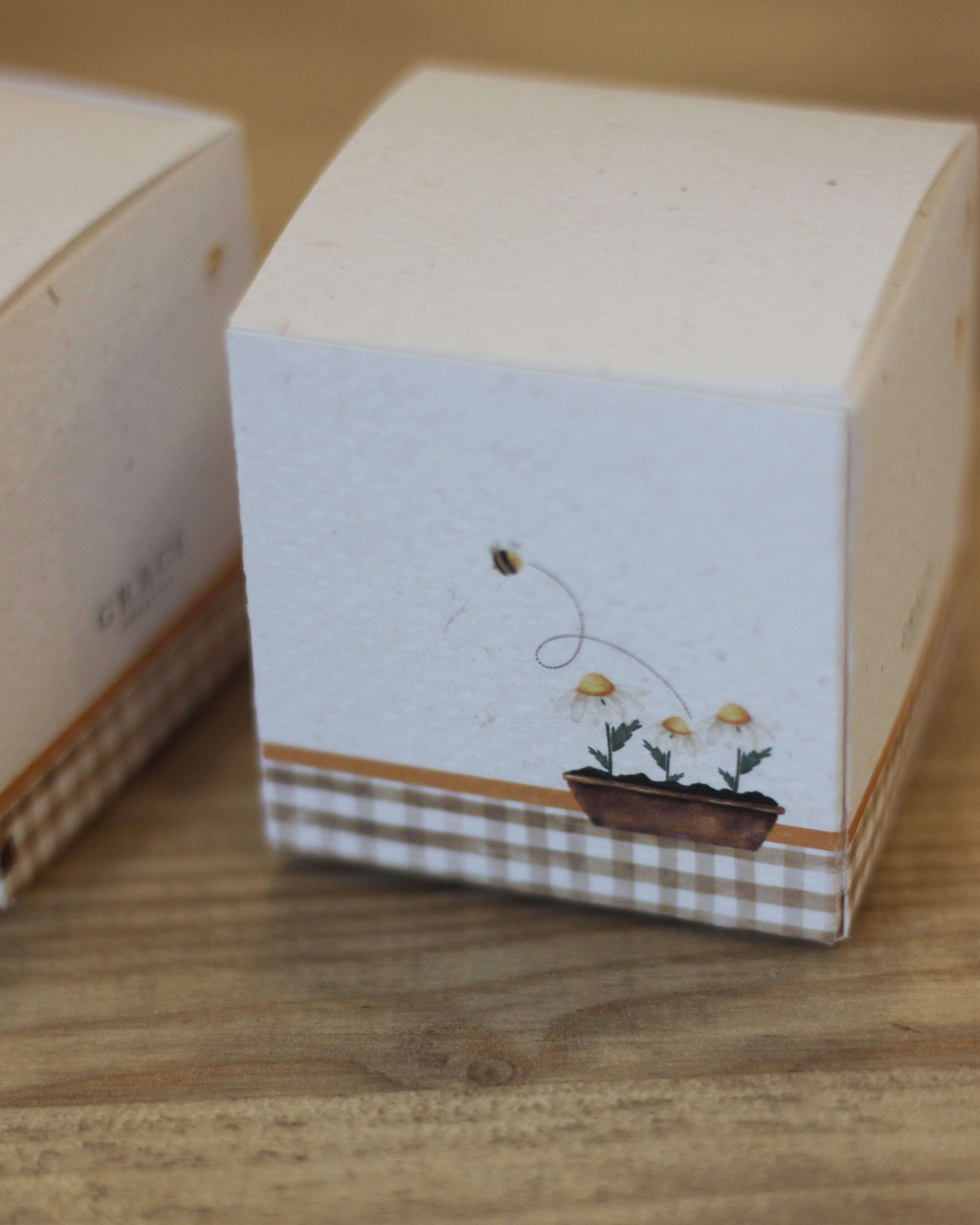 Scatolina Box  Cube 5cm | Orso Goloso