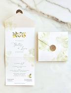 Profumo di Costiera | mod. Grace